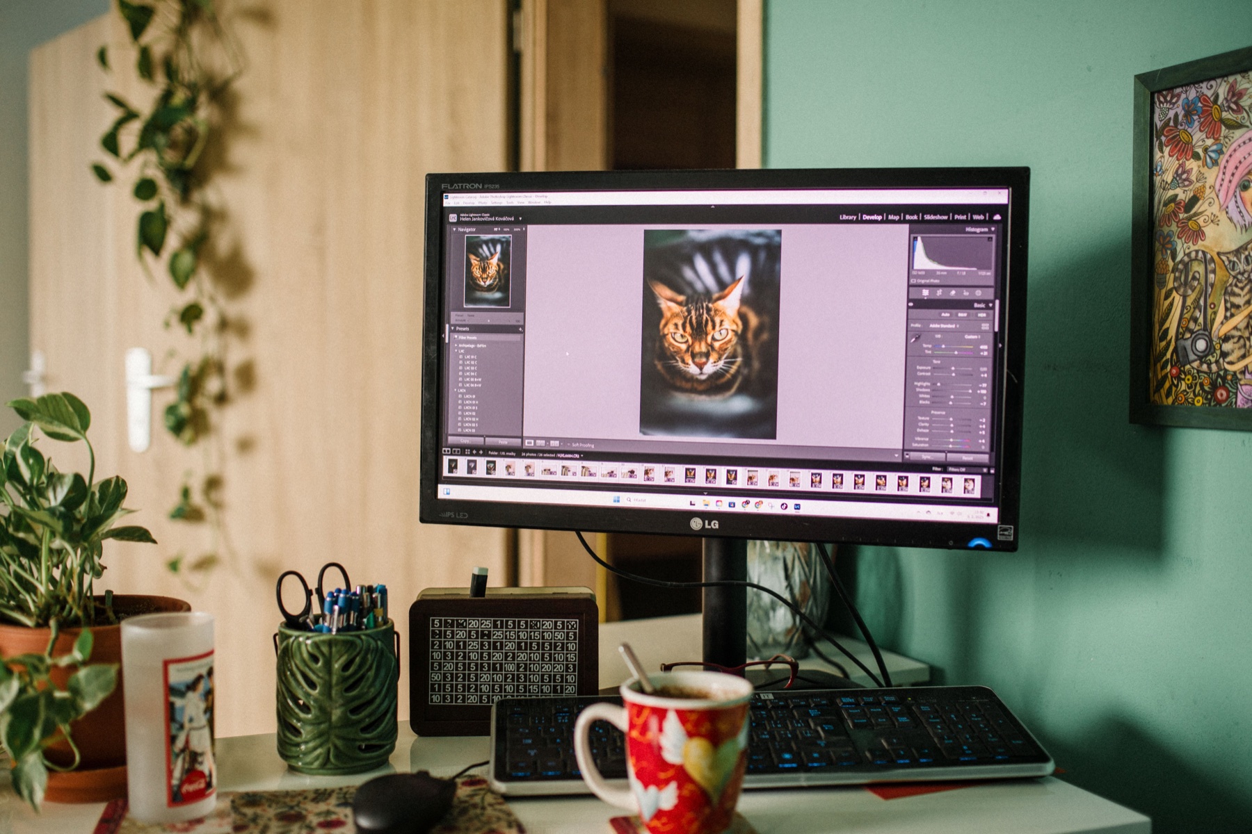 JPG vs PNG for Video Frames: Which Format Should You Choose?